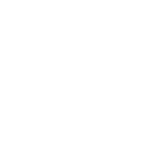 the kim team logo